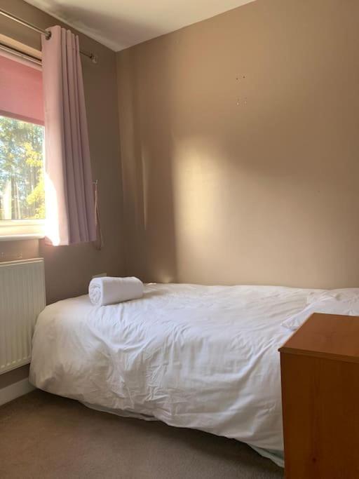 Huntingdon Walk To Town Centre, Cosy, Free Parking Villa Exterior photo